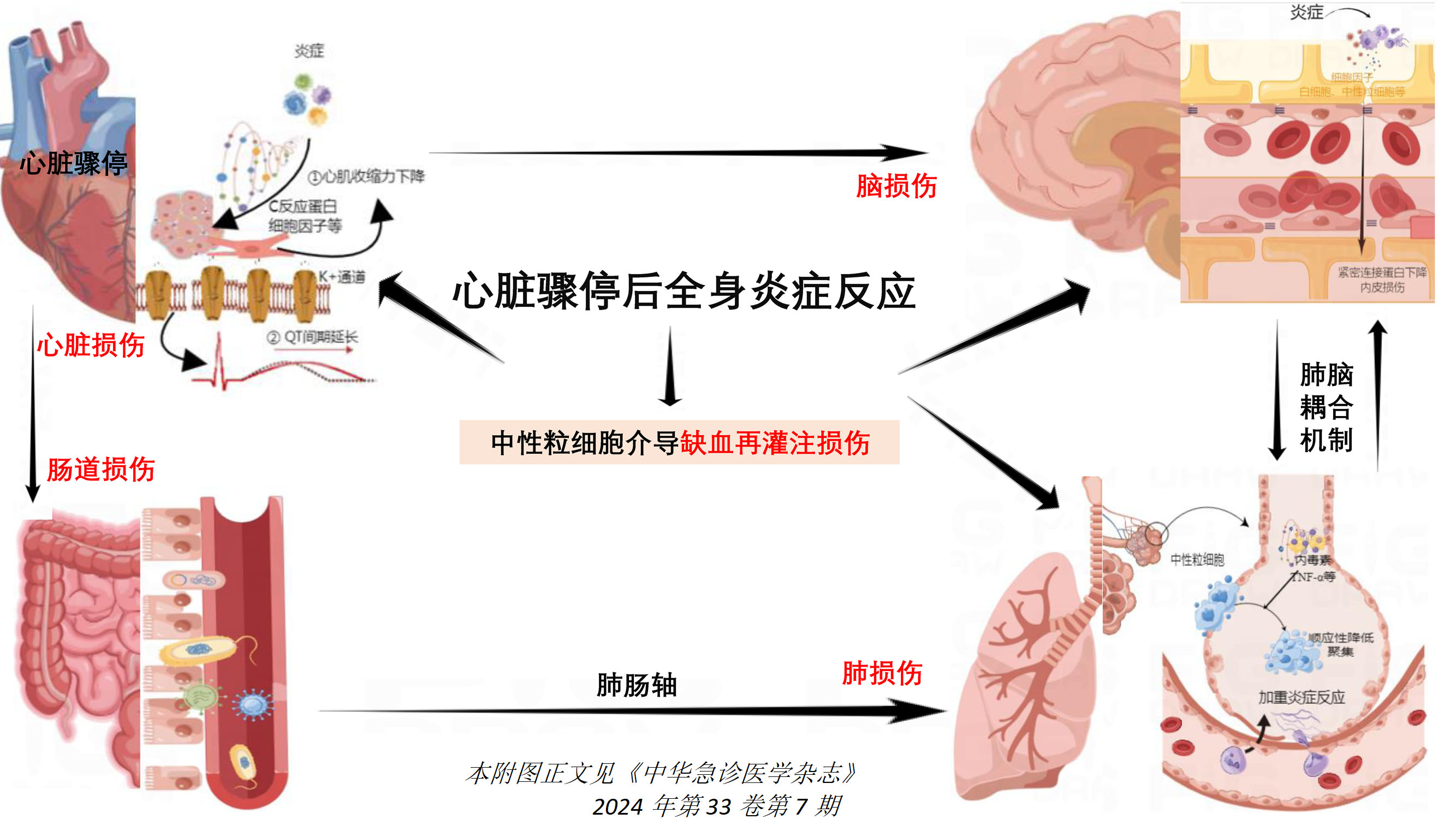 1719903401959264.jpg 附图2.jpg