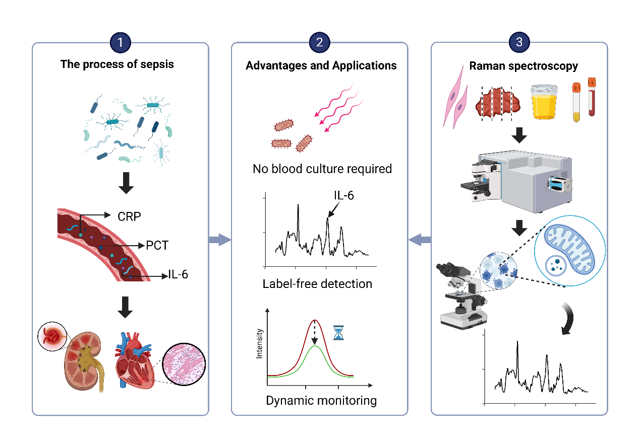 1763426206420721.png 陈奔佳附图1.png